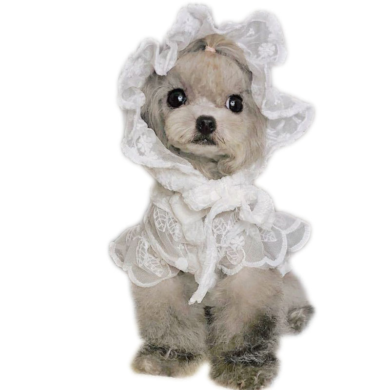 White Lace Princess Dog Weedin - огляд і ціна Xl Summer Clothing